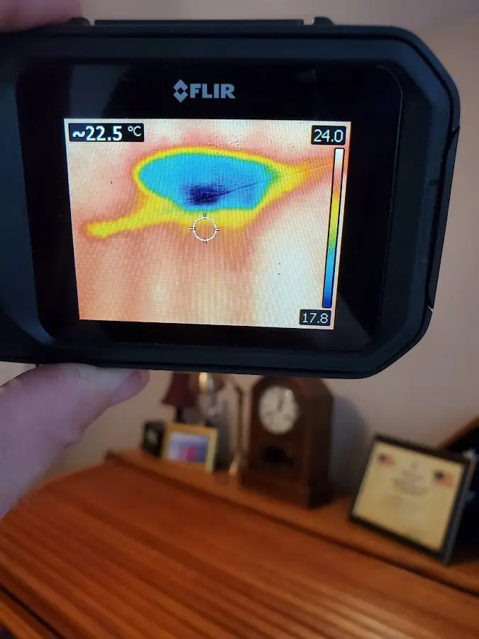 Thermal imaging inspection for water damage in Mustang
